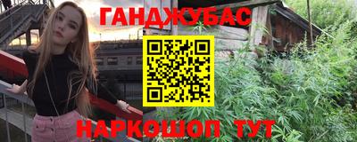 тгк Партизанск