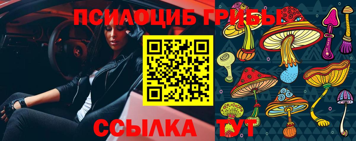 Псилоцибиновые грибы Psilocybine cubensis  купить   Первоуральск  Вход с VPN 